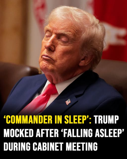 ‘Commander in sleep’: Trump mocked after appearing to fall asleep in cabinet meeting
